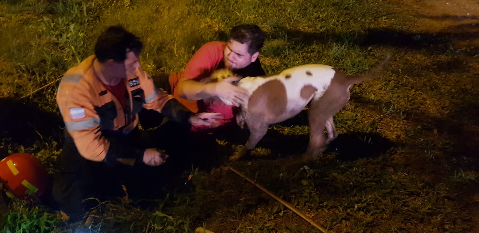Perseguía una comadreja y quedó atrapado en un zanja: dramático rescate de un perro en Funes